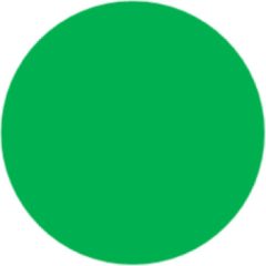 Mágnesfólia korong zöld átmérő 80 mm, 10 darab